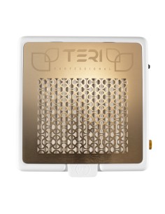 TERI PLETINA SOBREMESA GOLD