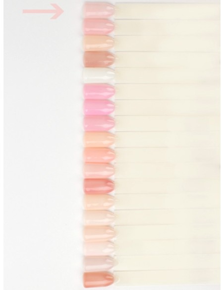 Lianail Perfect Factor *264