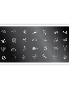 Nail Stamping Plate. Echo: Fauna *1