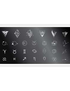 Nail Stamping Plate. Echo: Tattoo *5