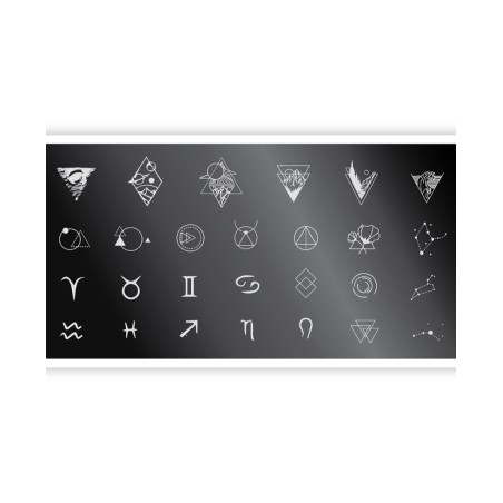 Nail Stamping Plate. Echo: Tattoo *5