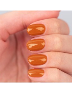 Amatix Gel Polish *238 Late Flowers 10ml 2