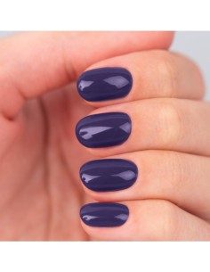 Amatix Gel Polish *242 Enigmatic Nature 10ml 2