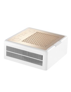 Teri Sobremesa 800M White Gold 2